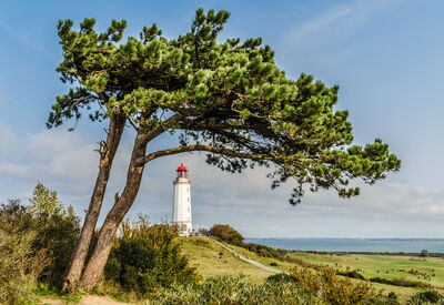 Insel Hiddensee