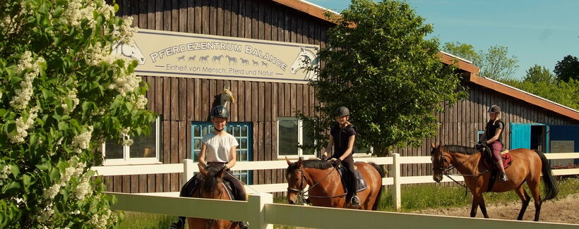 Reiten an der Ostsee