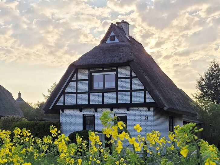 Reetdachhaus in Dranske