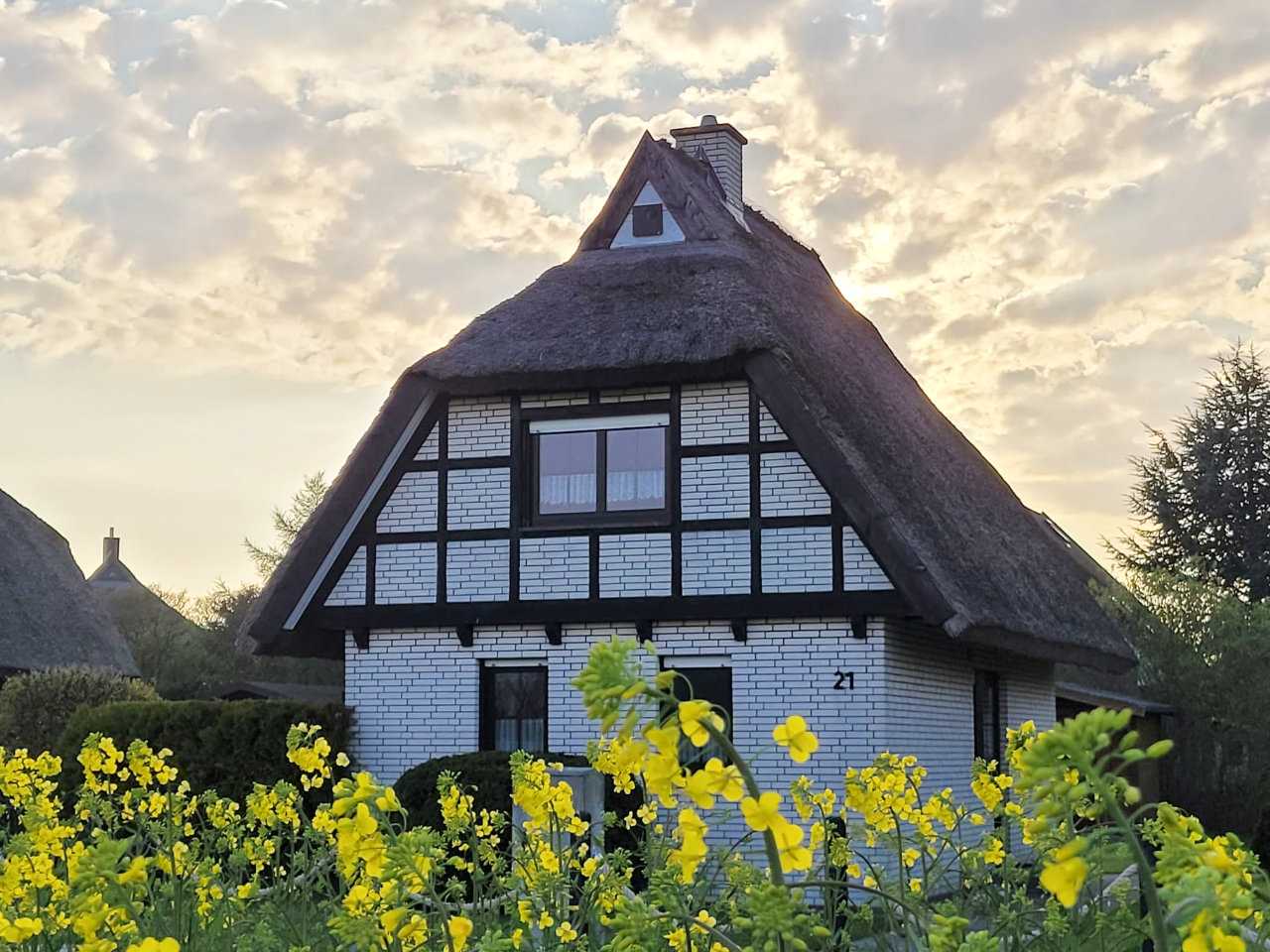 Reetdachhaus in Dranske