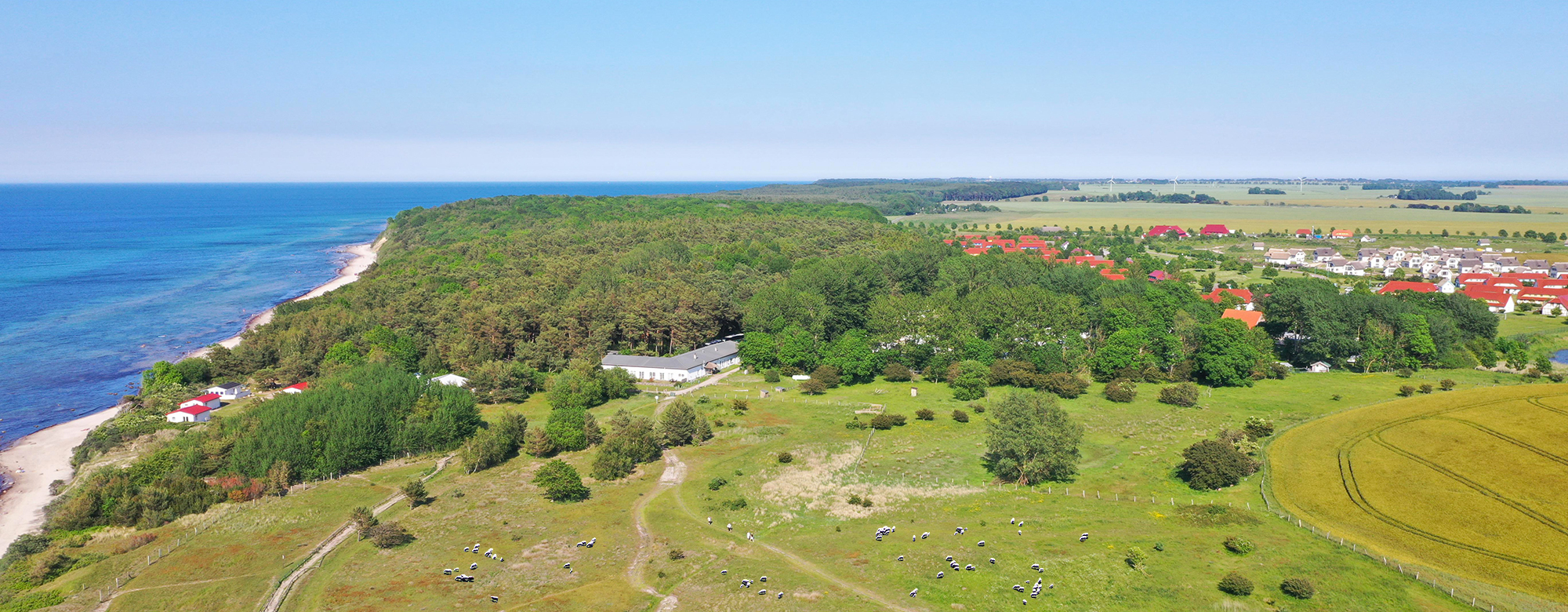 Luftbild von der Kreptitzer Heide